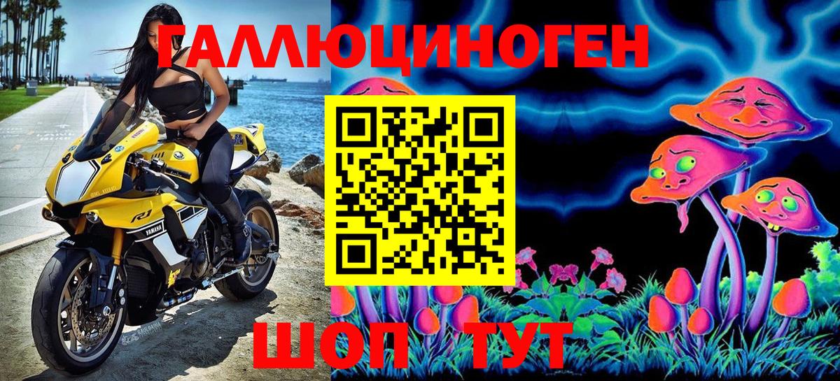 Ишимбай  Псилоцибиновые грибы GOLDEN TEACHER  Вход с VPN 