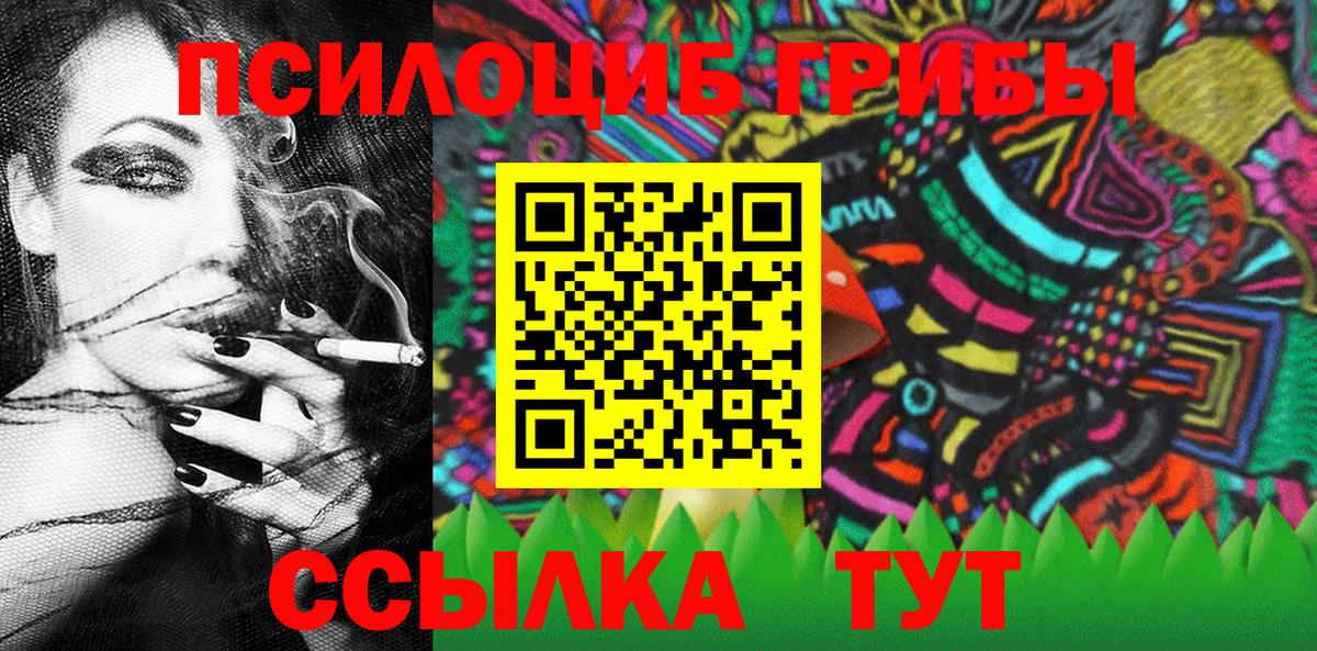 Псилоцибиновые грибы Cubensis Ишимбай